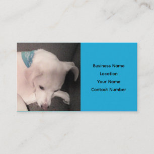 Cute White Puppy Dog Beautiful Blue Business Card