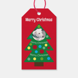 Cute White Puppy Dog Colourful Christmas Red Gift Tags