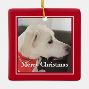 Cute White Puppy Dog Green and Red Christmas Ceramic Ornament
