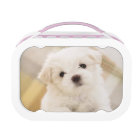 Cute White Puppy Dog Lunch Box Kids School Food