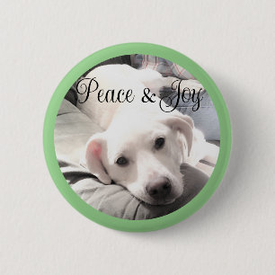 Cute White Puppy Dog Peace and Joy Sage Green 6 Cm Round Badge