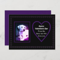 Cute White Puppy Dog Purple Hearts From Pets