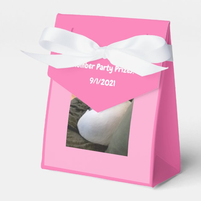 Cute White Puppy Dog Sleeping Slumber Party Pink Favour Box (Front Side)