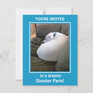 Cute White Puppy Dog Slumber Party Blue Invitation