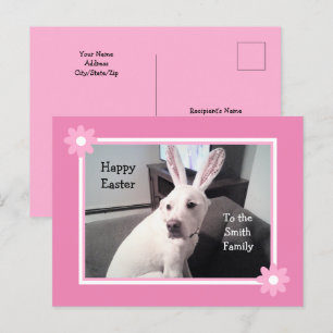 Cute White Puppy Dog Wearing Easter Bunny Ears Pos Postcard