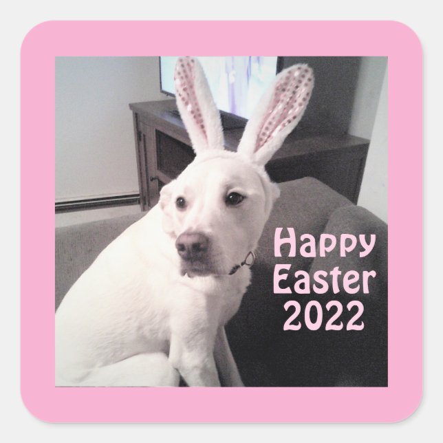 Cute White Puppy Dog Wearing Easter Bunny Ears Square Sticker (Front)