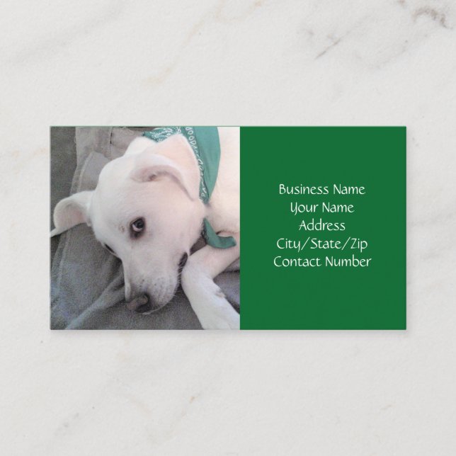 Cute white Puppy Dog Wearing Green Scarf Business  Business Card (Front)