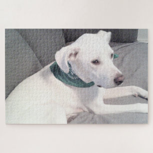 Cute White Puppy Dog Wearing Green Scarf Grey Jigsaw Puzzle