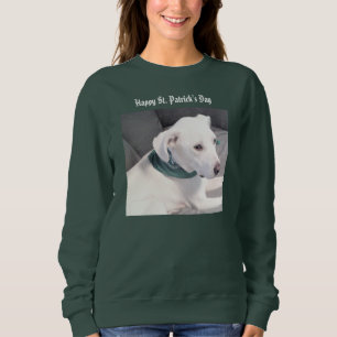 Cute White Puppy Dog Wearing Green Scarf Sweatshirt