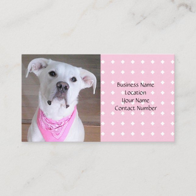 Cute White Puppy Dog Wearing Pink Scarf Business Card (Front)