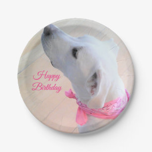 Cute White Puppy Dog Wearing Pink Scarf Paper Plate