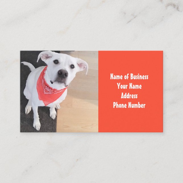 Cute White Puppy Dog Wearing Scarf Orange Business Card (Front)