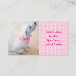 Cute White Puppy Dog Wearing Scarf Pink Pet Business Card