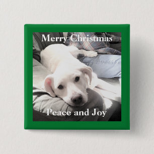 Cute White Puppy Dog With Dad on Couch Green 15 Cm Square Badge