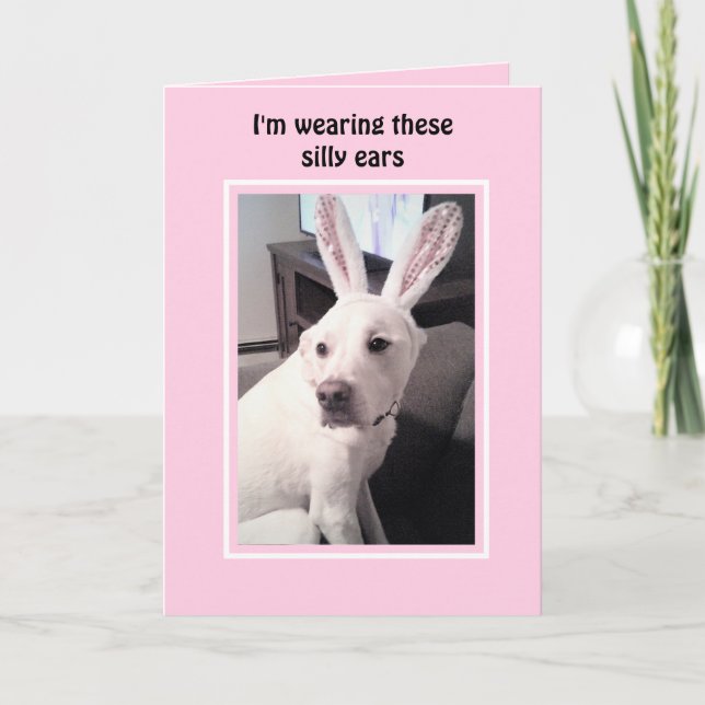 Cute White Puppy Dog With Easter Bunny Ears Pink Holiday Card (Front)