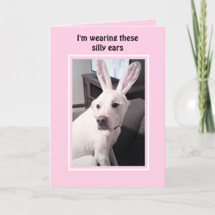 Cute White Puppy Dog With Easter Bunny Ears Pink Holiday Card