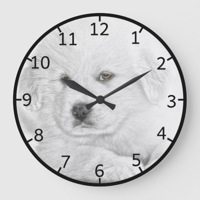 Cute White Puppy Large Clock (Front)