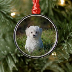 Cute white puppy metal tree decoration