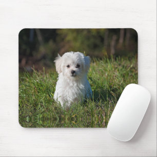 Cute white puppy mouse mat