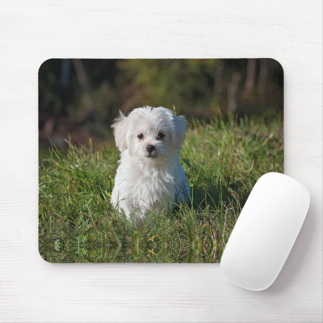 Cute white puppy mouse mat (With Mouse)