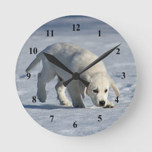 Cute White Puppy Snow Photo Round Clock