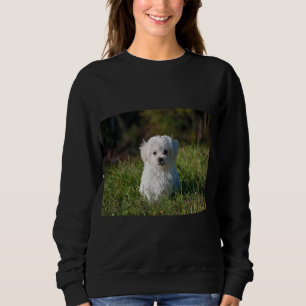 Cute white puppy sweatshirt