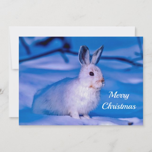 Cute White Rabbit Snow Photo Christmas Flat Holiday Card (Front)