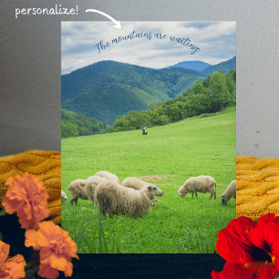 Cute white sheep and picturesque mountains  holiday postcard