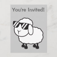Cute White Sheep Cartoon
