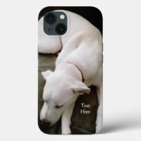 Cute White Sleeping Puppy Dog Labrador Mix