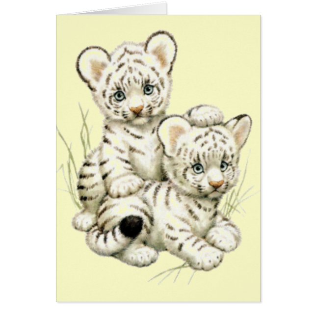 Cute White Tiger Cubs (Front)