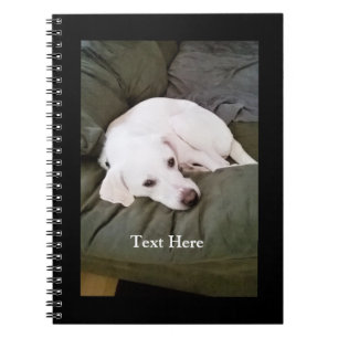 Cute White Tired Labrador Retriever Mix Puppy Dog Notebook
