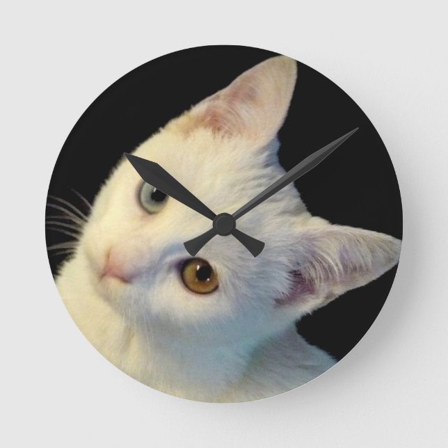 Cute White Turkish Van Kitten Clock (Front)