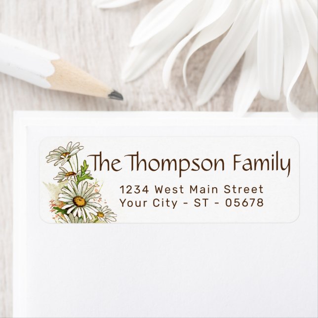 Cute White Yellow Shabby Chic Daisy Art Flowers (Insitu)