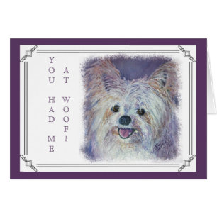 CUTE WHITE YORKIE MIX