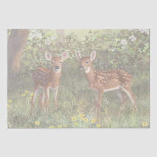 Cute Whitetail Deer Twin Fawns Tissue Paper