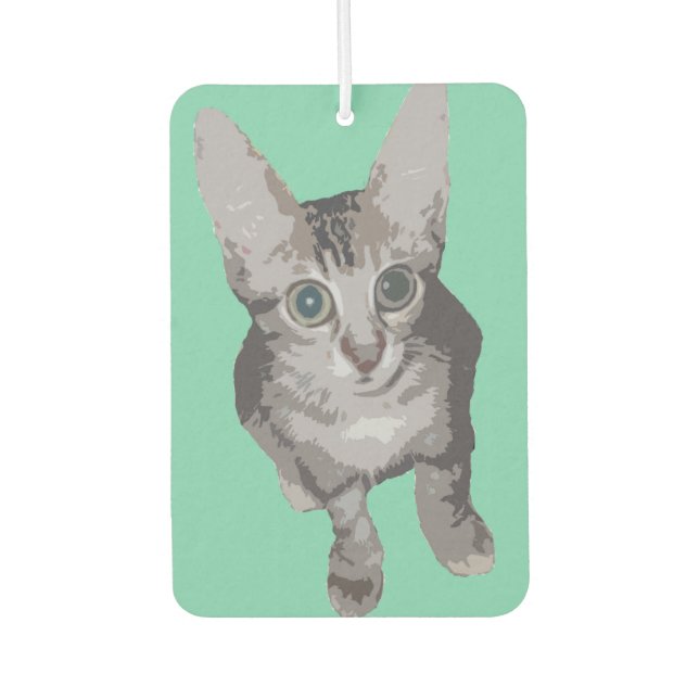Cute Wide Eyed Cat Car Air Freshener (Front)