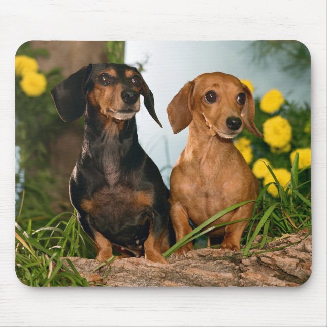 Cute Wiener Dog Lovers Doxin Puppy Dachshund Mouse Mat (Front)