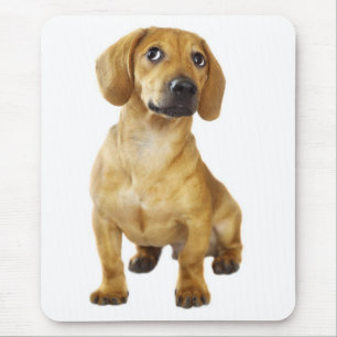 Cute Wiener Puppy Dog Doxie Lover Gift Dascshund Mouse Mat