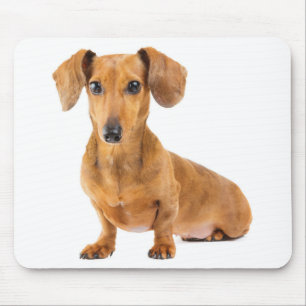 Cute Wiener Puppy Dog Lover Gift Dachshund Mouse Mat