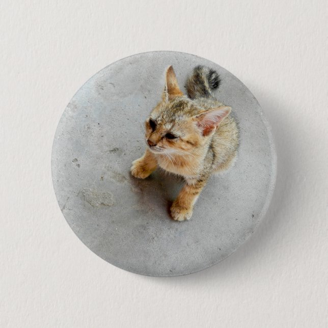 Cute wild cat kitten 6 cm round badge (Front)