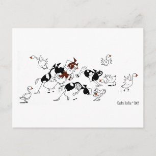 Cute Wild Goose Chase Horse Cartoon Postcard
