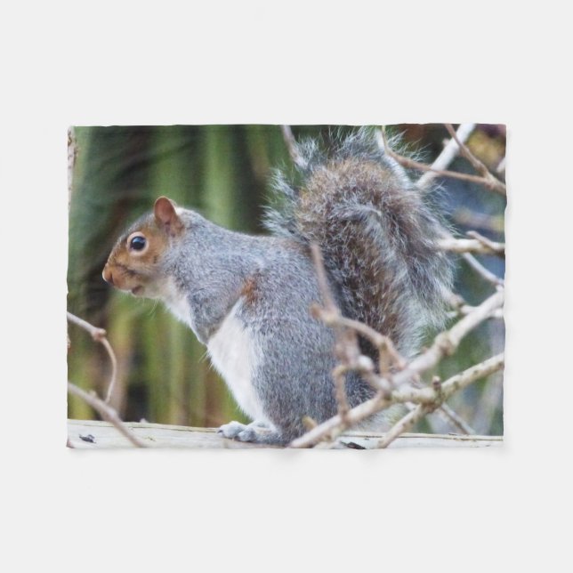 Cute Wild Grey Squirrel (UK ) Fleece Blanket (Front (Horizontal))