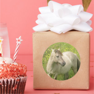 Cute Wild Horse Round Sticker