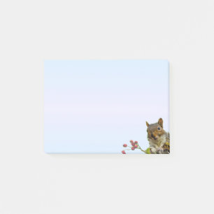 Cute Wild Squirrel on Light Blue Gradient Post-it Notes