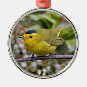 Cute Wilson's Warbler Songbird on the Grapevine Metal Tree Decoration