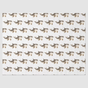 Cute Winter Arctic Whale Tissue Paper