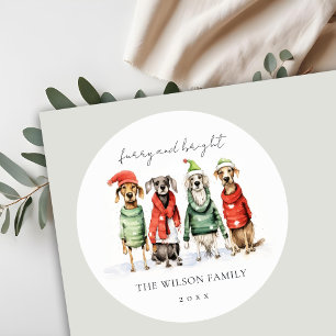 Cute Winter Dogs Sweater Furry & Bright Christmas Classic Round Sticker