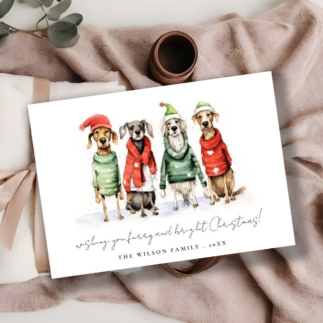 Cute Winter Dogs Sweater Furry & Bright Christmas  Holiday Card (Creator Uploaded)