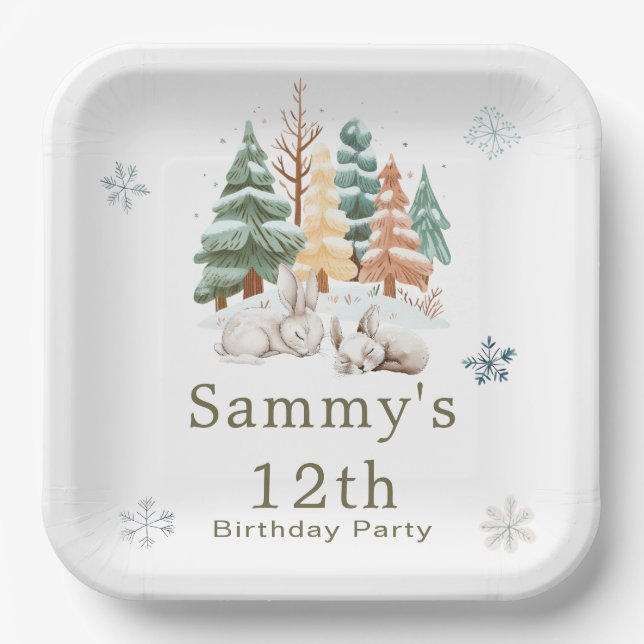 Cute Winter Rabbits Birthday Party Paper Plate (Front)